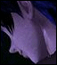 [Disk 1]