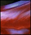 [Disk 1]