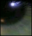[Disk 1]