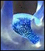 [Disk 1]