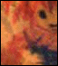 [Disk 1]