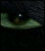 [Disk 1]