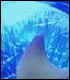[Disk 1]