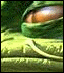 [Disk 2]