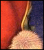 [Disk 2]