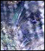 [Disk 2]