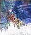 [Disk 2]