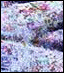 [Disk 2]