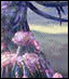 [Disk 2]