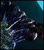 [Disk 2]