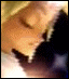 [Disk 2]