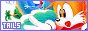 88x31