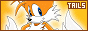 88x31