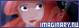 88x31